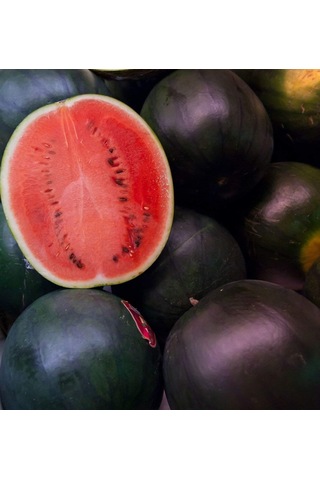 Meşhur Halep Siyah Karpuz Tohumu Ekim Seti 15 Tohum +Saksı+Topra