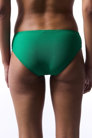 Penti Yeşil Holly Hipster Bikini Altı