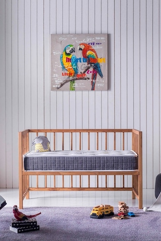 Natural Park Yatak, Bebek Yatağı, Beşik Yatağı, 70x120x10 Cm