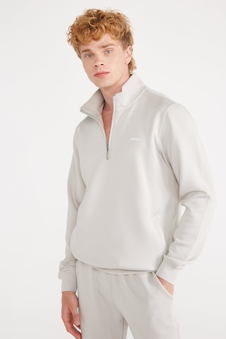 Jepublic Erkek Sweatshirt-j232405 Gri