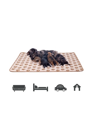 Homyl Kalınlık Köpek Eğitim Pedi Piddle Lazımlık 46cmx36cm