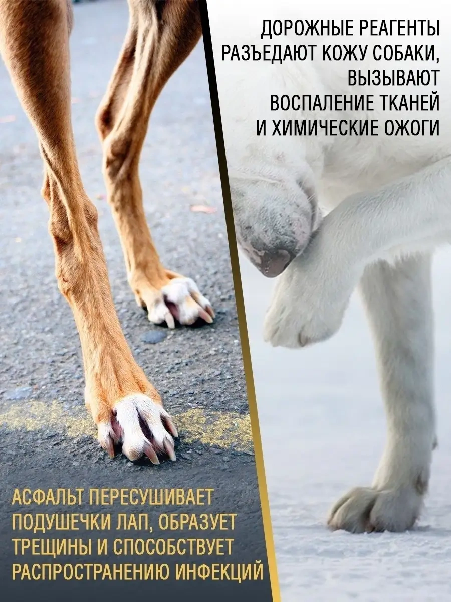 Ecozavr Kokusuz, Pantenol İçeren Eko Köpek Sabunu 500 Ml. 77484498