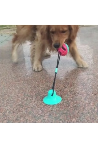 Raikou Köpek Diş Kaşıma Isırma Aparatı İnteraktif Yemek Oyuncağı