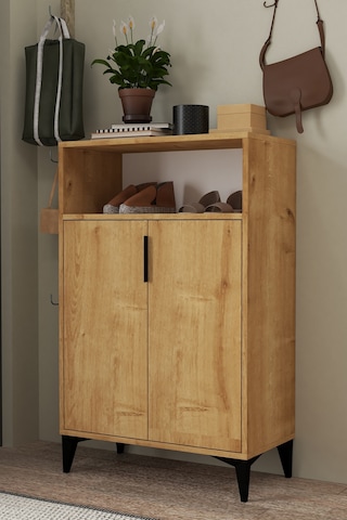 1203 Ada Ayakkabılık 4 Raflı 2 Kapaklı Çok Amaçlı Dolap Safir Safir