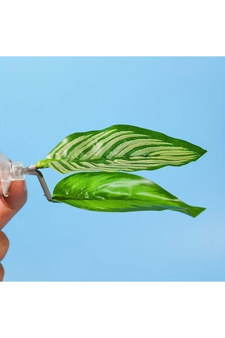 Elmpaly Xk9 Betta Akvaryumu Aksesuarı Pvc Yapay Bitki Seti Yapışkanlı Betta Balığı Dekor