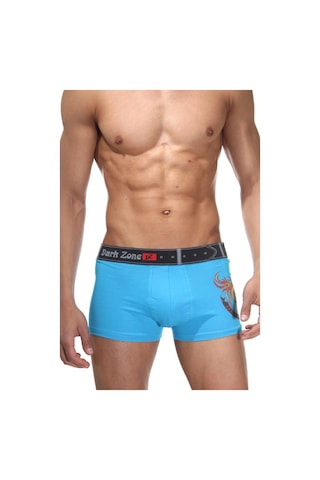 Alev Desenli Mavi Boxer