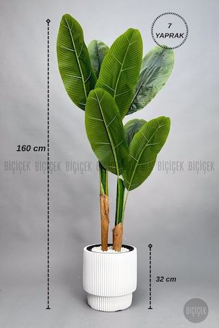 Biçiçek Yapay Starli̇ce 160 Cm 7 Yapraklı Beyaz Vega Saksıda