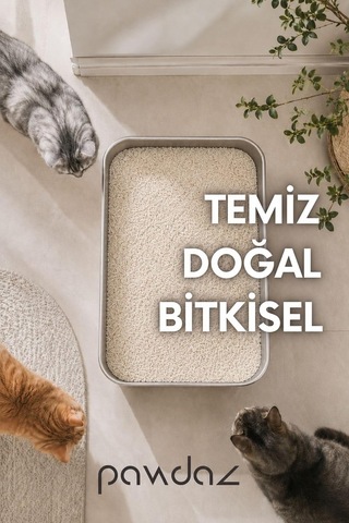 Cassava Kedi Kumu 5 Litre Hızlı Ve Güçlü Topaklanma