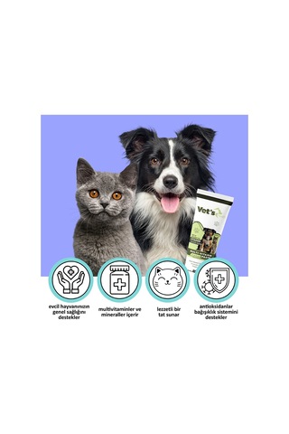 Vet's Health Multi-Vitamin Paste Kedi Köpekler İçin Vitamin Destek 2 x 100 G