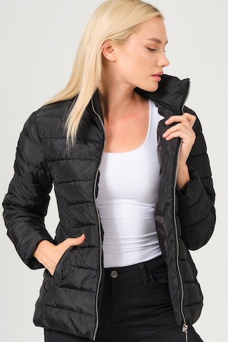 Dewberry Bayan Mont Z6746