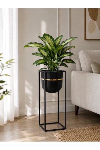 Bitkidunyam Mat Metal Kare Ayaklı Saksı, Altın Detaylı Kenar, Silindirik, Modern Tasarım, 50x21 Cm No:5 Siyah