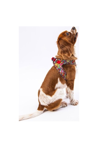 Pawstar Air-mesh Wow Köpek Göğüs Tasması 2xs Genel