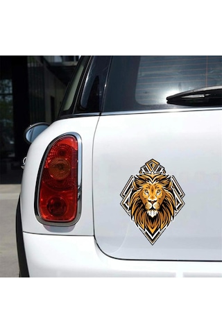 Aslan Sticker 10x10 Cmrenkli Sticker