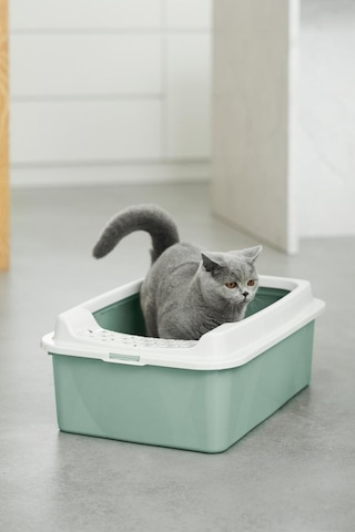 Mypet Eco Bonnie Orta Boy Kedi Tuvaleti Çevre Dostu Yüksek Kenarlı