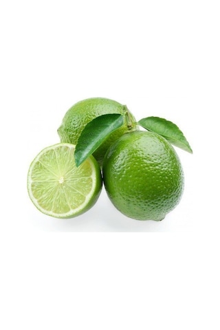 2 Yaş Aşılı Bodur Dikensiz Meksican Lime Fidanı. Torbada