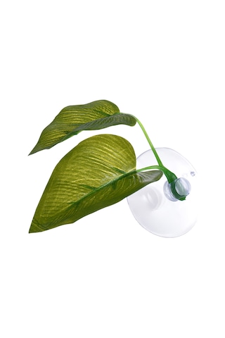 Xiyyadms Akvaryum Yeşil Yapraklar - Balıklar İçin Doğal Dinlenme Ve Yumurtlama Alanı 2 Yaprak