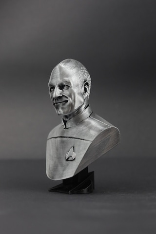 Picard - Star Trek - Figür / Büst - 12cm
