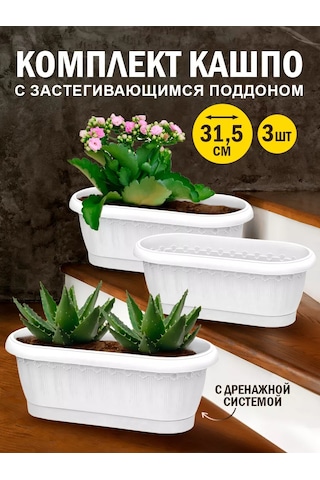 Elfplast Dekoratif Kök Sulama Saksısı 3'lü Set 214462774