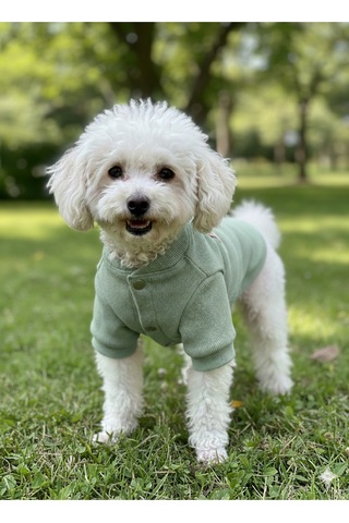 Kedi - Köpek Kaşkorse Esnek Mevsimlik Ceket - Mont - Yağmurluk - Yelek - Kıyafet