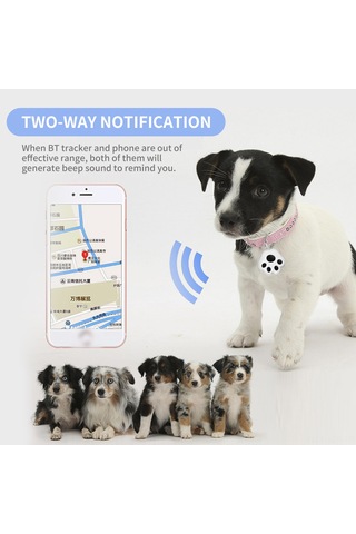 Geeroyoo Akıllı Köpek İzleyici: Bluetooth Takip Cihazı, Anahtarlık, İki Yönlü Alarm, Yeşil