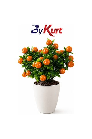 Yapay Mandalina Çiçeği Saksılı Dekoratif Bitki Ev Ofis Süsü Çok Renkli