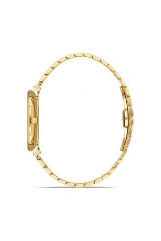 Hislon Cl119g-01sgs Gold