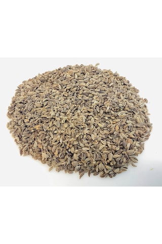 Maydanoz Mikro Yeşillik Tohumu D'giant İtaliana Çeşidi, 15 Gram