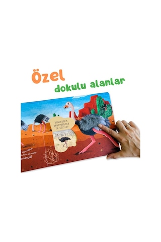 Sincap Kitap İlk Dokun Hisset Kitabım: Çöle Dokun - Melek Dinçer