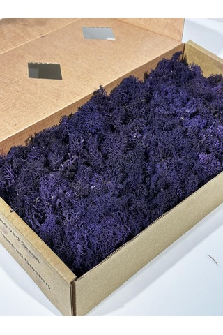 Reindermoss Şoklanmış Norveç Yosunu Terarium Yosunu Mor 5 Kg.