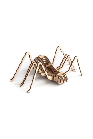 Model Spider