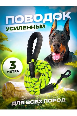 Petfort 3 M Yansıtıcı Naylon Köpek Tasması 167502167 Yeşil