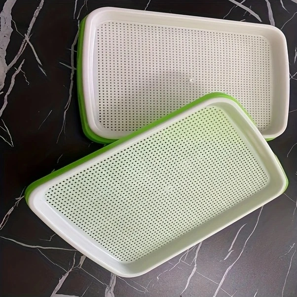 Trendooze Yeşil Filiz Tepsisi - Topraksız Hidroponik Sebze Yetiştirme