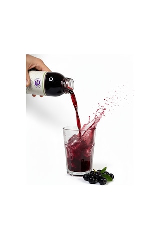 Aronya Suyu 250 Ml