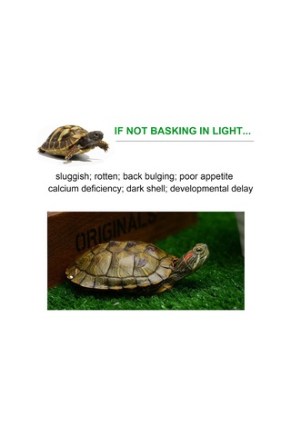 Symbee Sürüngenler İçin Isı Lambası - Güneş Işığı Simülasyonu - E27 Uç, 75w Ampul, Esnek Hortum, Beyaz, Abd Şarjı Beyaz