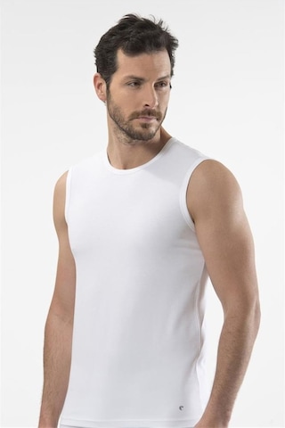 Cacharel 1303 Spor Erkek Bisiklet Yaka - Beyaz Beyaz