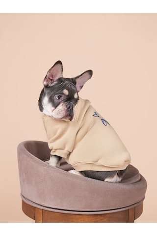 Balloon Küçük ve Orta Irk Köpekler İçin Köpek Sweatshirt