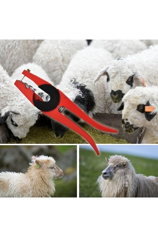 Carrier- Moda Trendleri Koyun Ve Sığır Kulak Küpesi Takma 1 Adet