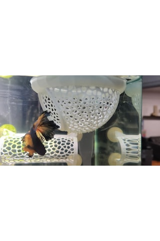 Akvaryum Için Yüzen Saklama Alanı Betta Balığı Için Gizlenme Ka