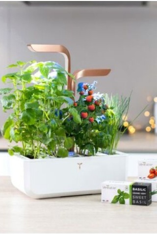 Veritable Véritable Smart White Copper Akıllı Iç Mekan Bitki Yetiştirme Sistemi Hobi Bahçesi Çok Renkli