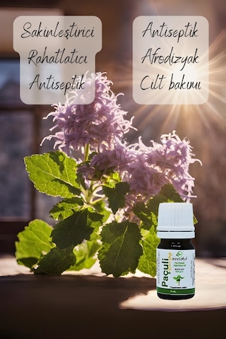 Einnatur Paçuli Uçucu Yağı %100 Saf Pogostemon Cablin Essential Oil 5 ML