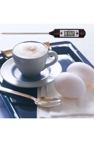 Epinox Profesyonel Dijital Gıda Termometresi (DT-01)