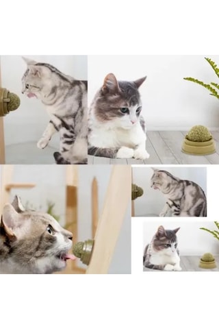 Kedi Kıyafeti Kedi Nanesi Oyun Topu
