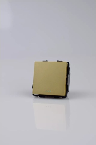 Vo'stabl Geçiş Anahtarı, Altın Mekanizmalı, Tek Tuşlu 220774411