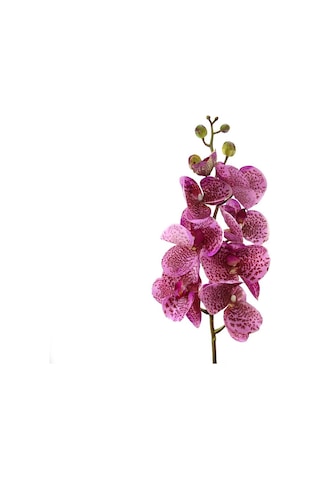 Yapay Orkide Dalı Gerçek Dokunuş Mor Benekli Jumbo