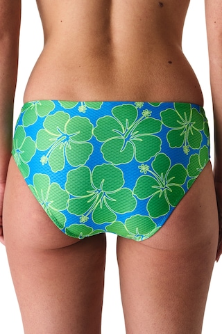 Penti Beralis Hipster Bikini Altı