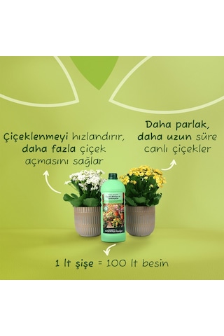 Genta Prestige Çiçekli Bitkiler Ve Sardunyalar İçin Sıvı Besin 1 Lt Diğer
