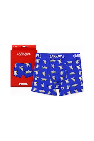 Carnaval Socks Koala Desenli Erkek Boxer Pamuklu Likralı Parlak Lastikli Kutulu Saks Mavi Çoklu
