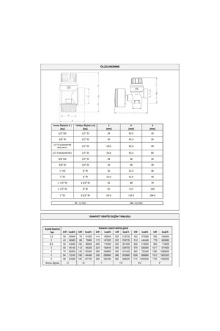 Case 1/2'' 9 Bar Emniyet Ventili
