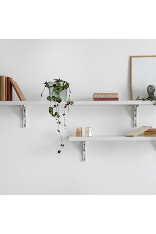 Kalp Kalbe Karşı Çiçeği Ceropegia Woodii - Beyaz Saksılı