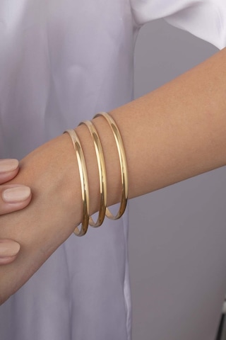 Gümüş Pazarım 4 Mm Parlak Görünüm Altın Kaplama Kadın Üçlü Ajda Bilezik Renkli